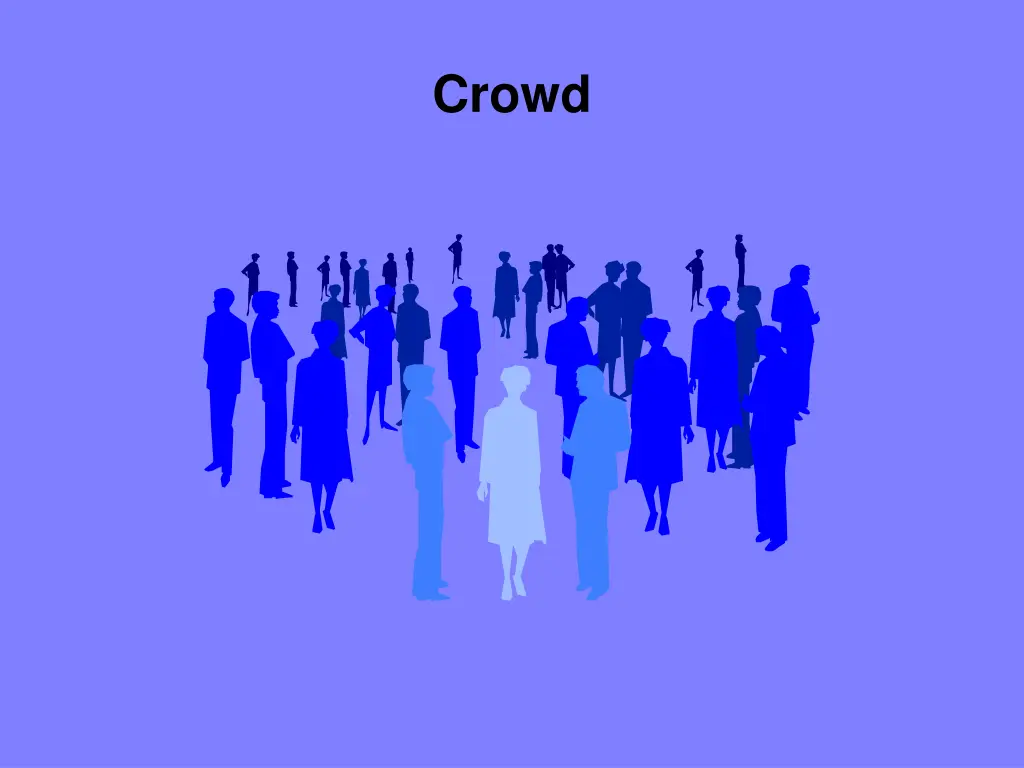 crowd n.w