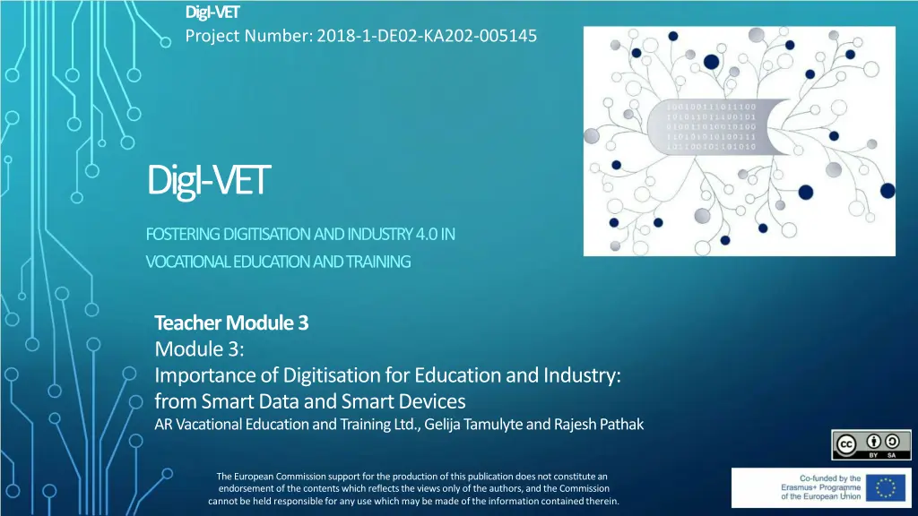 digi vet project number 2018 1 de02 ka202 005145 n.w
