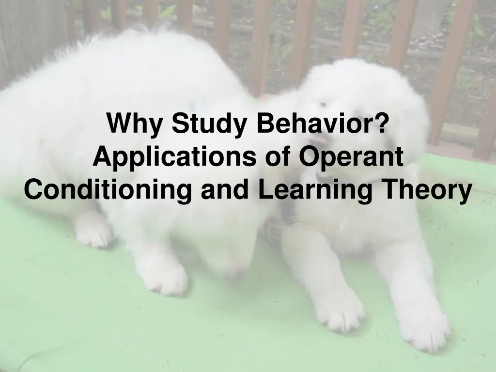 why study behavior applications of operant n.w