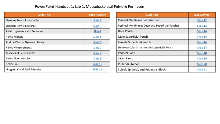 Musculoskeletal Pelvis & Perineum Overview