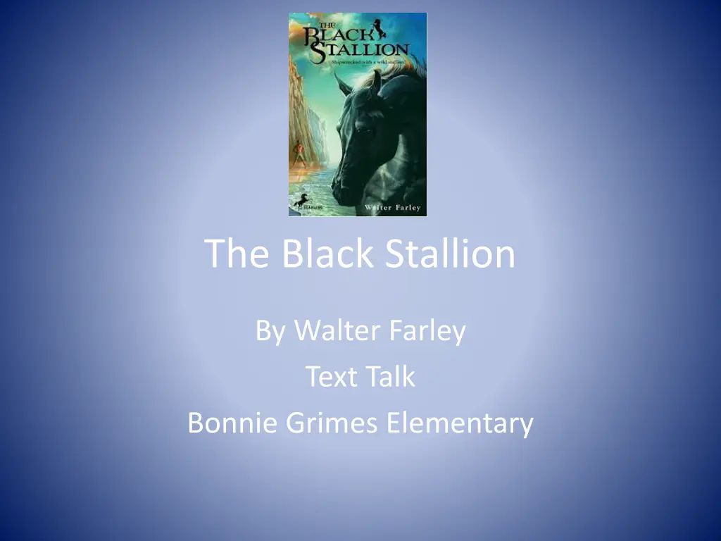 the black stallion n.w