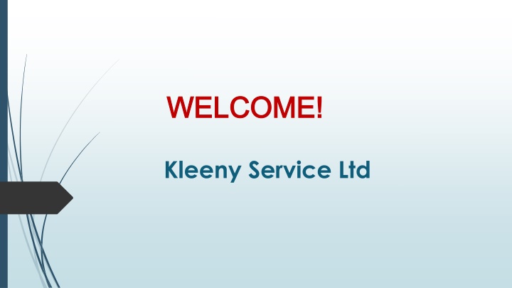 Best Carpet Cleaning in Whelley