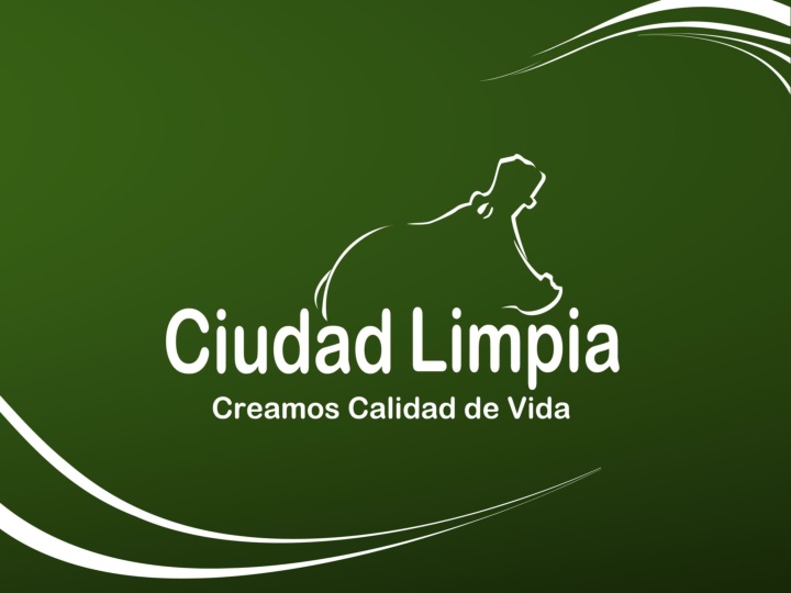 Structure and Operations of Cost Centers in Grupo Ciudad Limpia