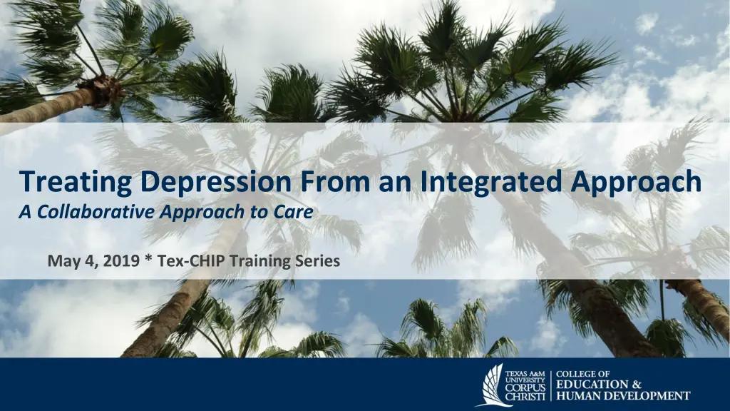 treating depression from an integrated approach n.w