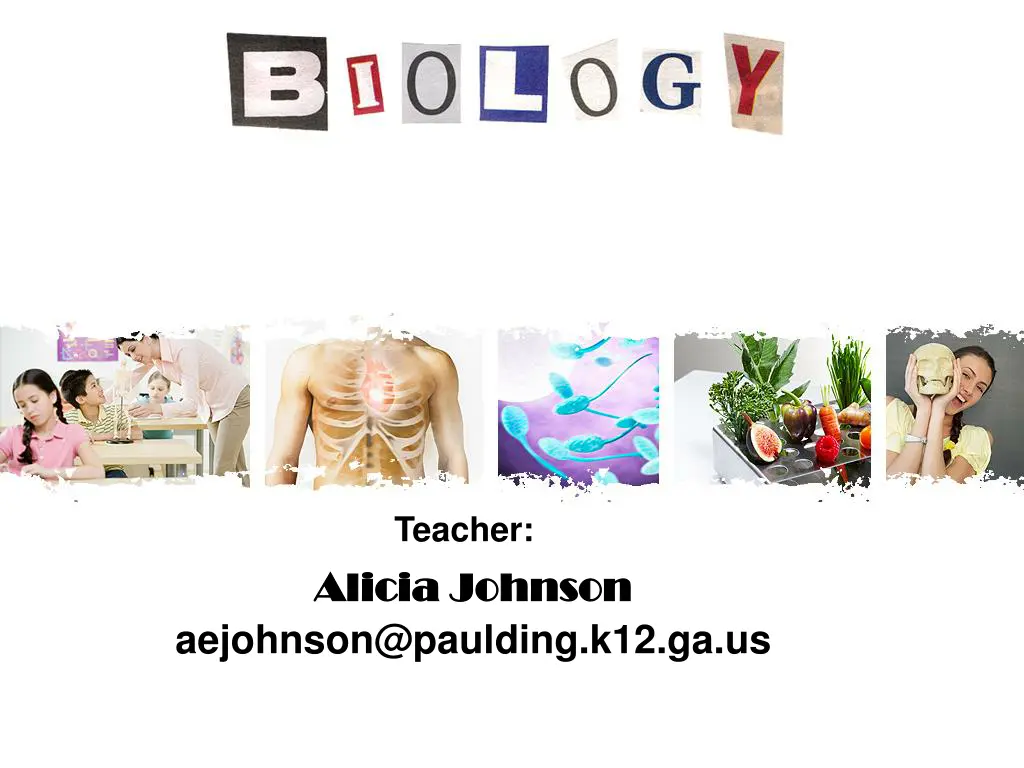 teacher n.w