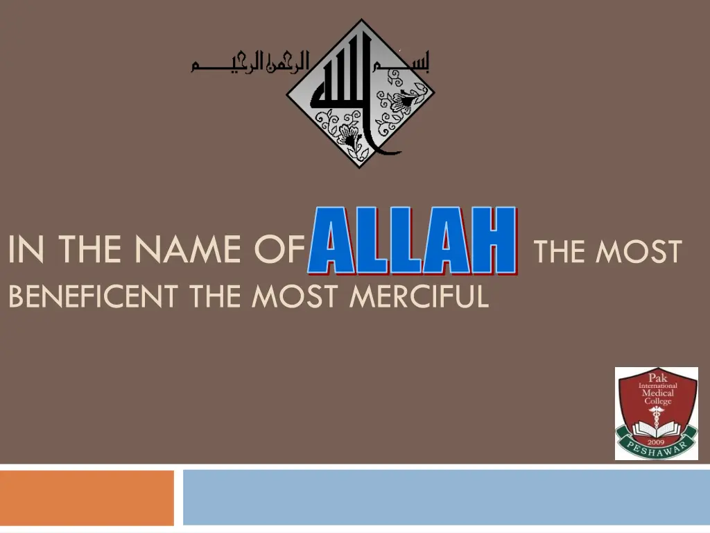 allah n.w
