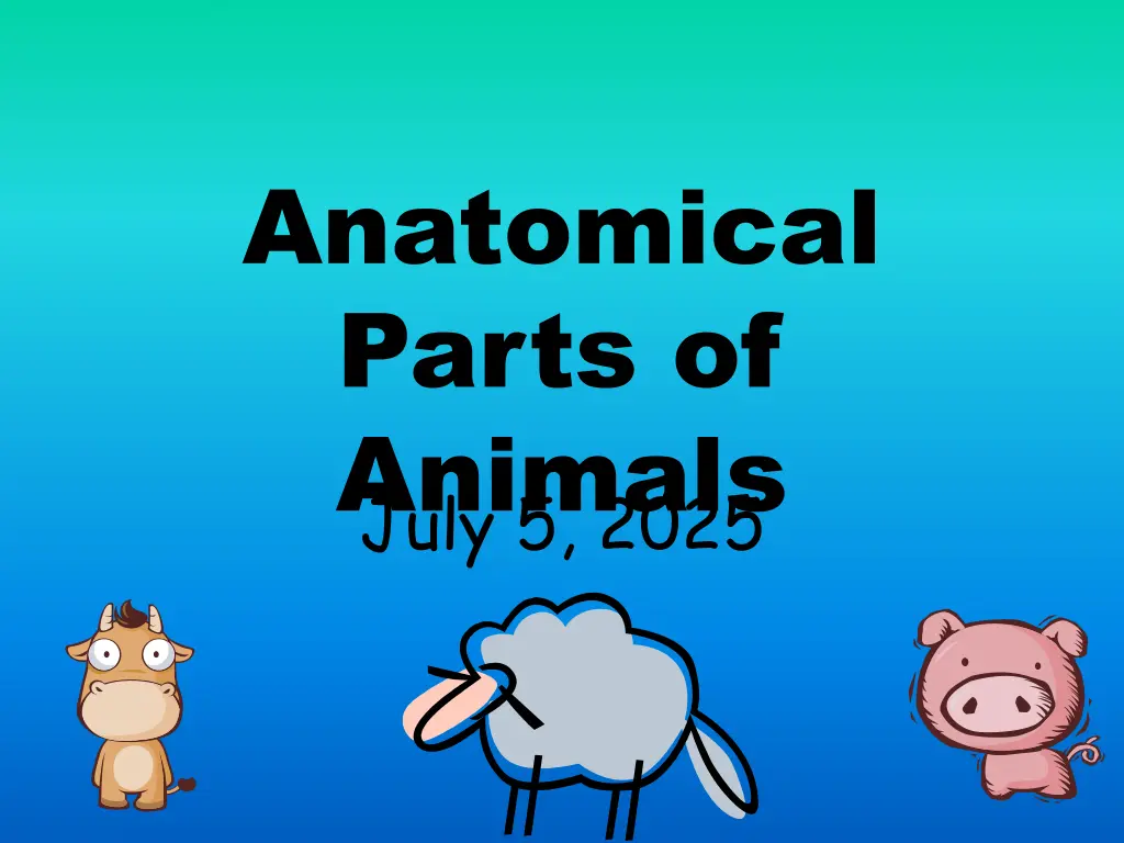 anatomical parts of animals july 5 2025 n.w