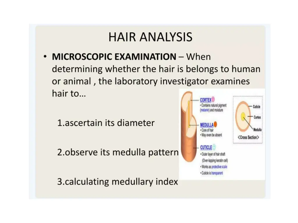 slide1 n.w