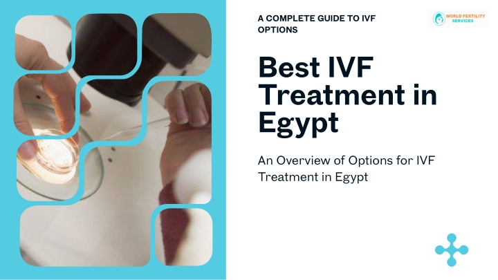 a complete guide to ivf options n.w