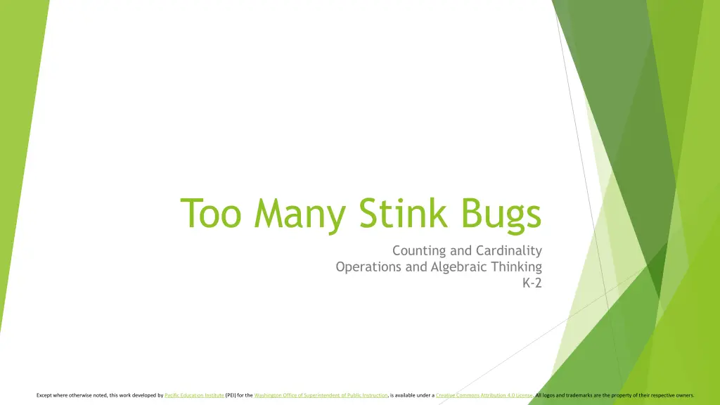 too many stink bugs n.w