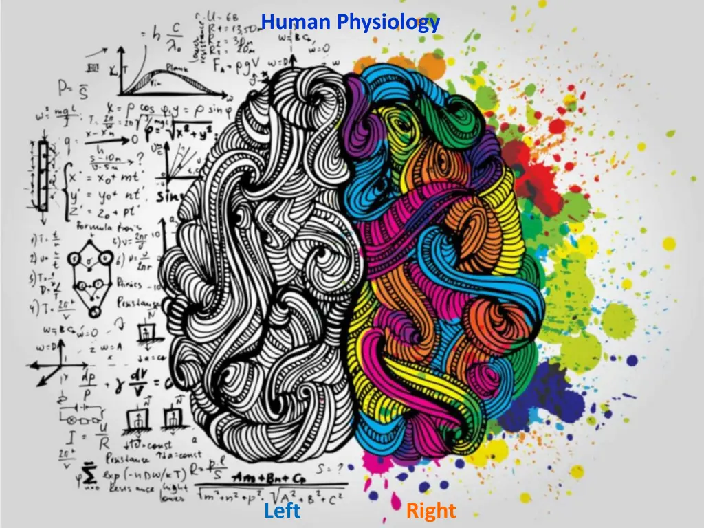 human physiology n.w