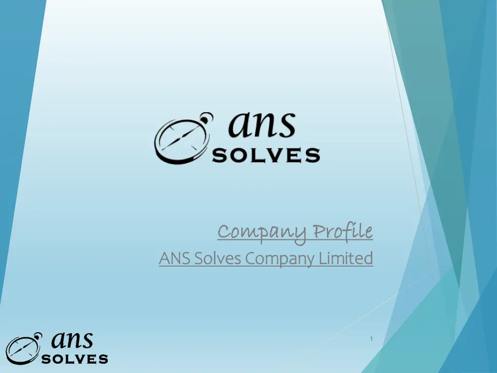 company profile company profile ans solves n.w