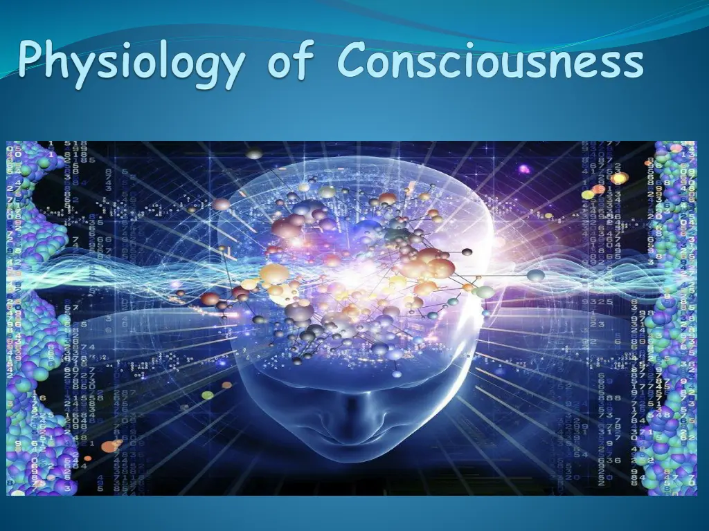 slide1 n.w