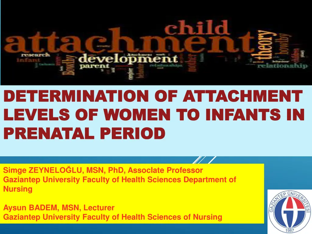 determination of attachment determination n.w