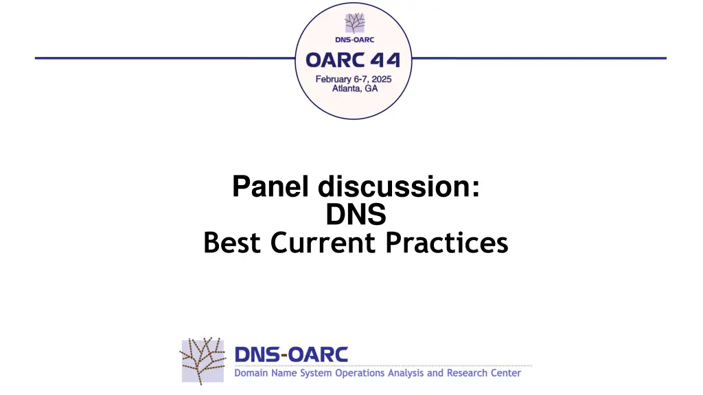panel discussion dns best current practices n.w