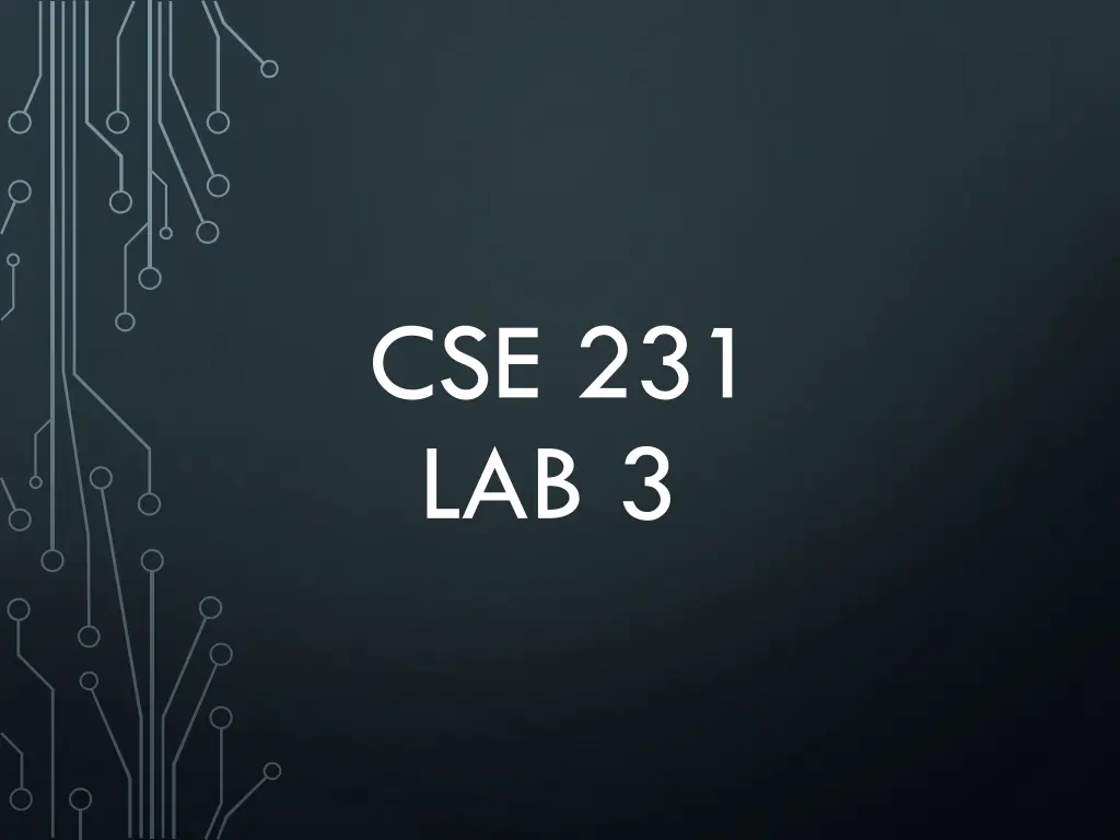 cse 231 lab 3 n.w