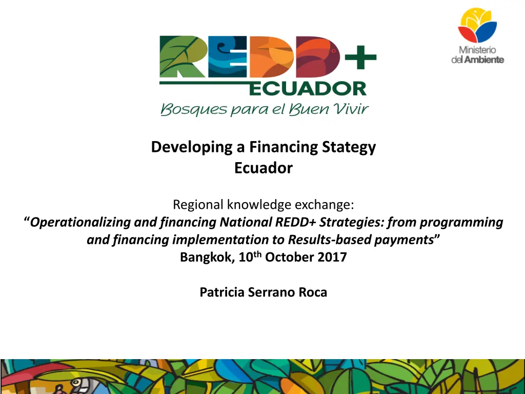 developing a financing stategy ecuador n.w