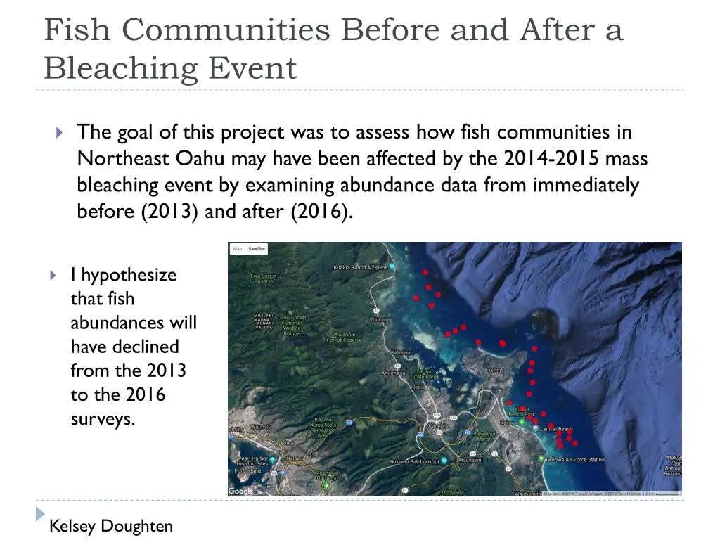 fish communities before and after a bleaching n.w