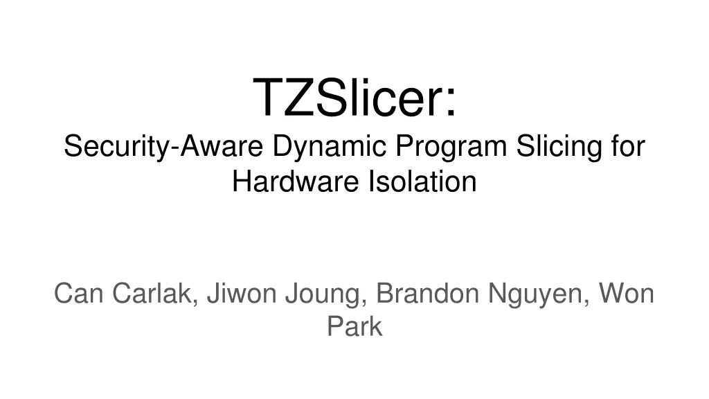 tzslicer n.w