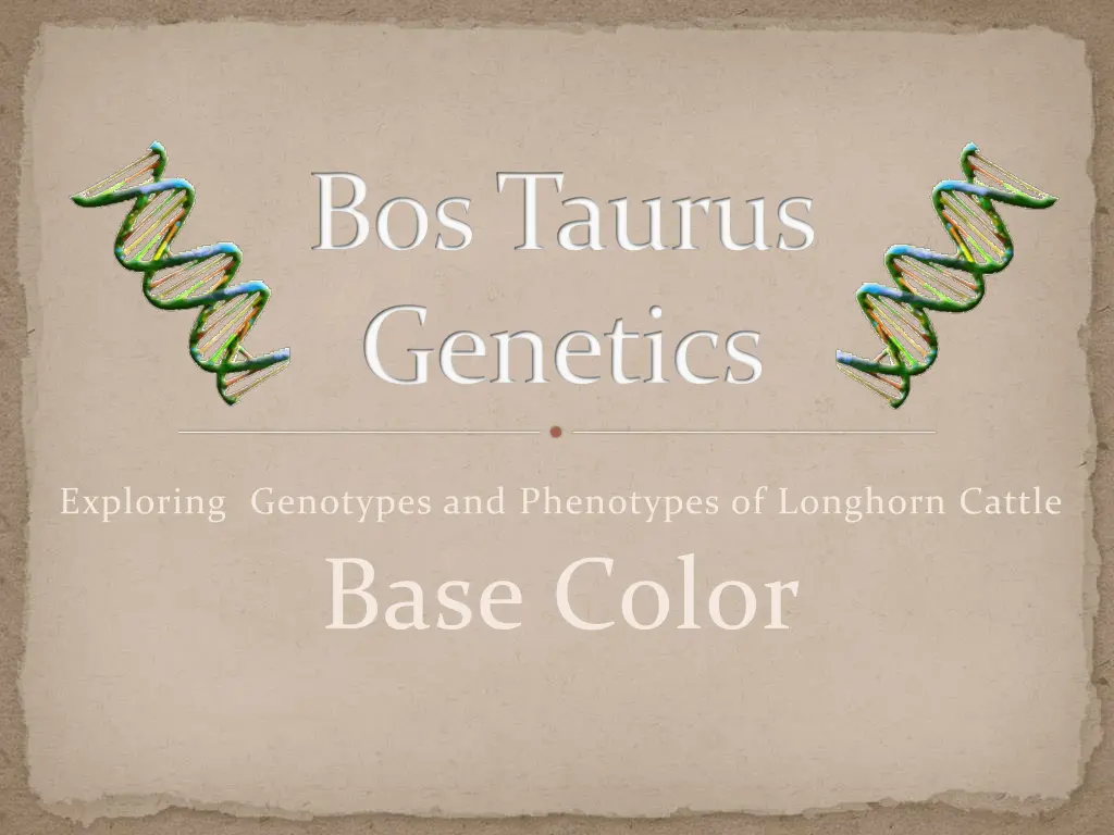 bostaurus genetics n.w
