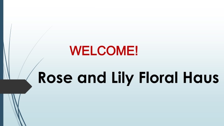 Best Wedding Florist in Ardross