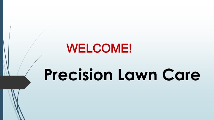 Best Lawn Renovations in Regentville