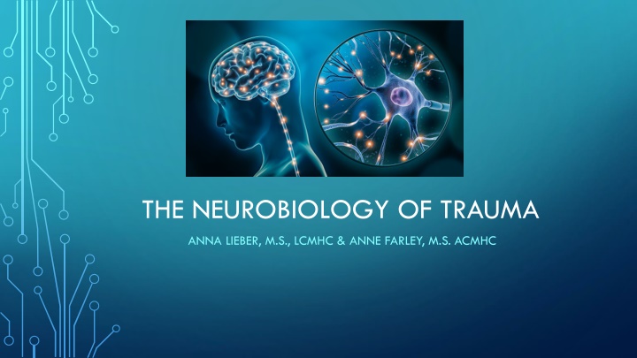 Trauma's Impact on the Brain: A Comprehensive Overview.