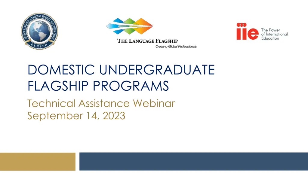 domestic undergraduate flagship programs n.w