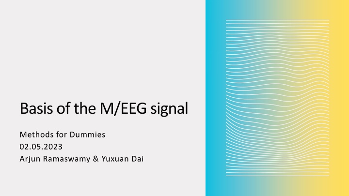 Basis of the M/EEG signal