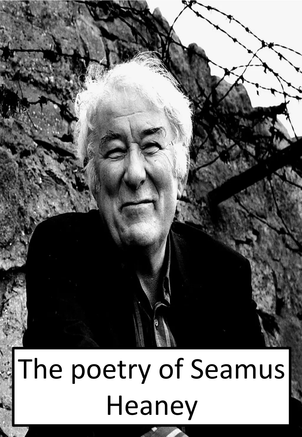 the poetry of seamus heaney n.w