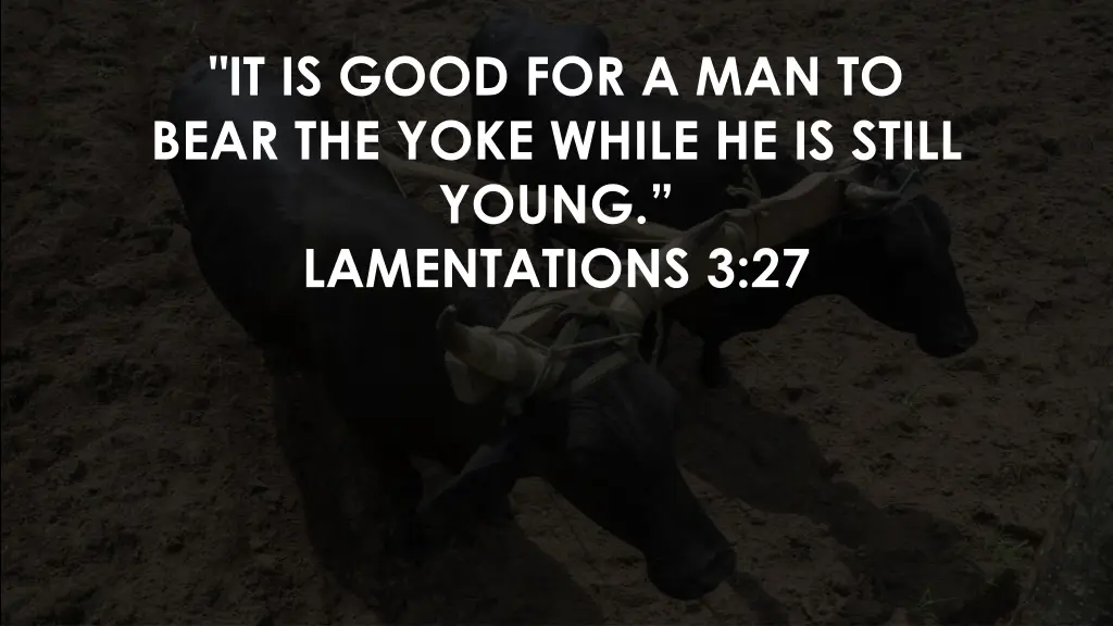 it is good for a man to bear the yoke while n.w