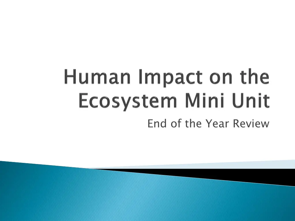 end of the year review n.w