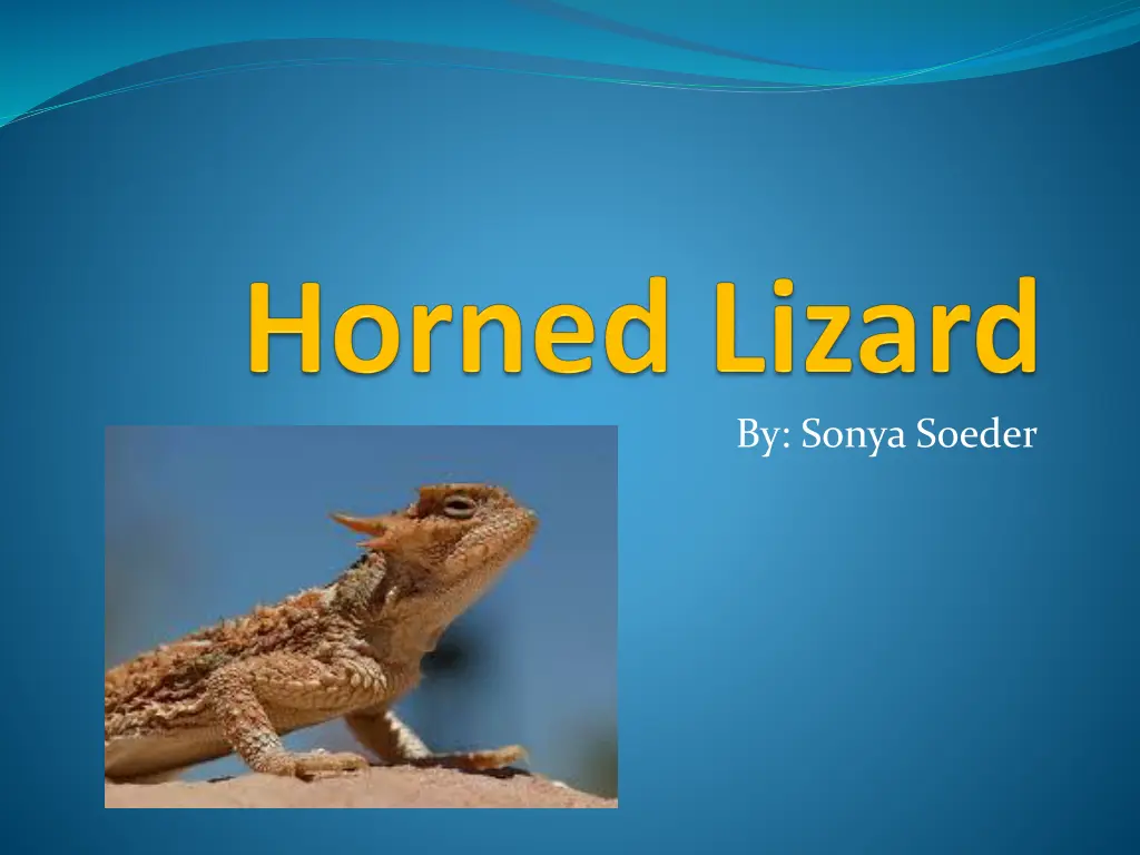 by sonya soeder n.w