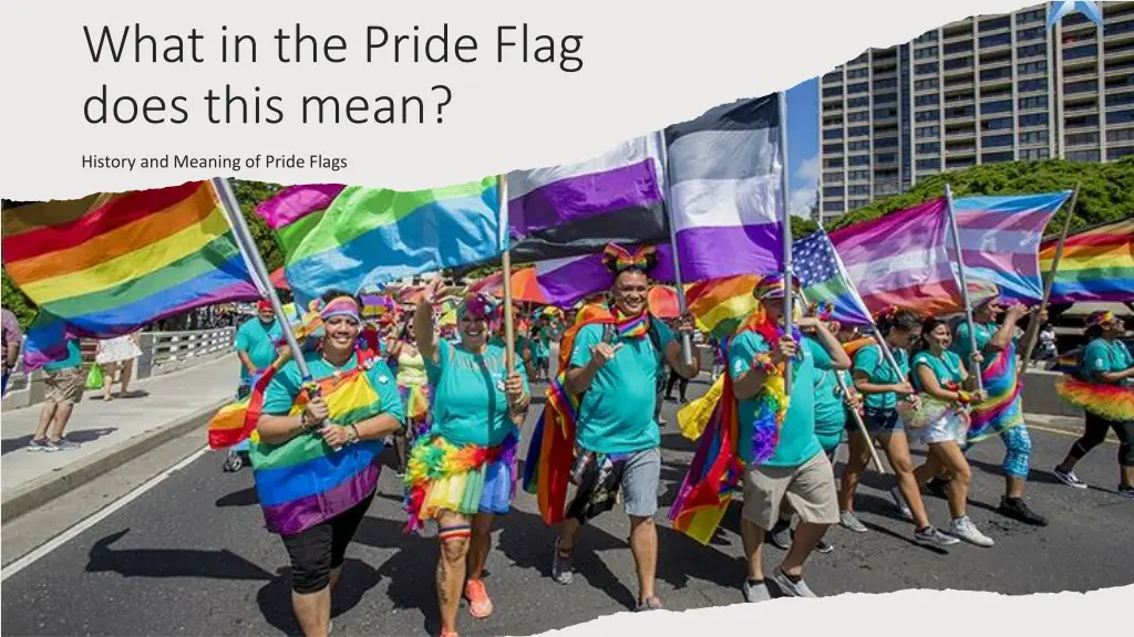 what in the pride flag does this mean n.w