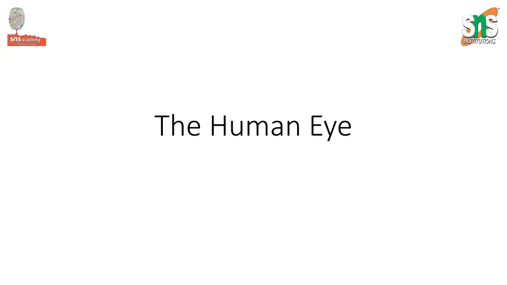 the human eye n.w