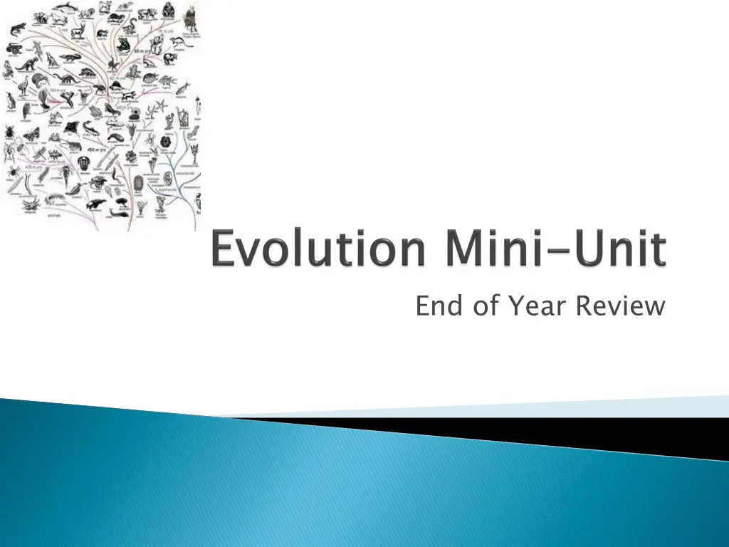 end of year review n.w