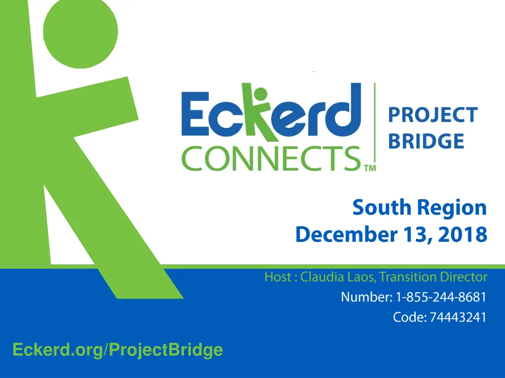 eckerd org projectbridge n.w