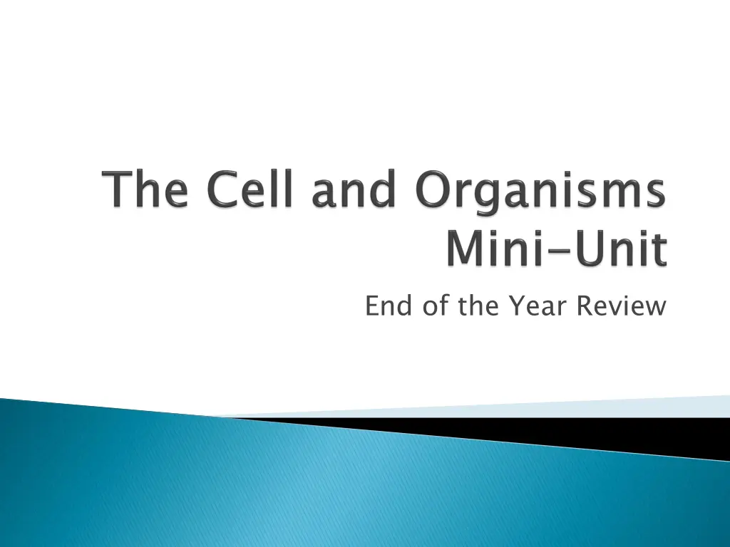 end of the year review n.w