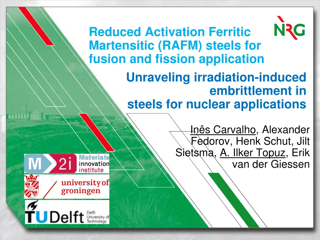 reduced activation ferritic martensitic rafm n.w