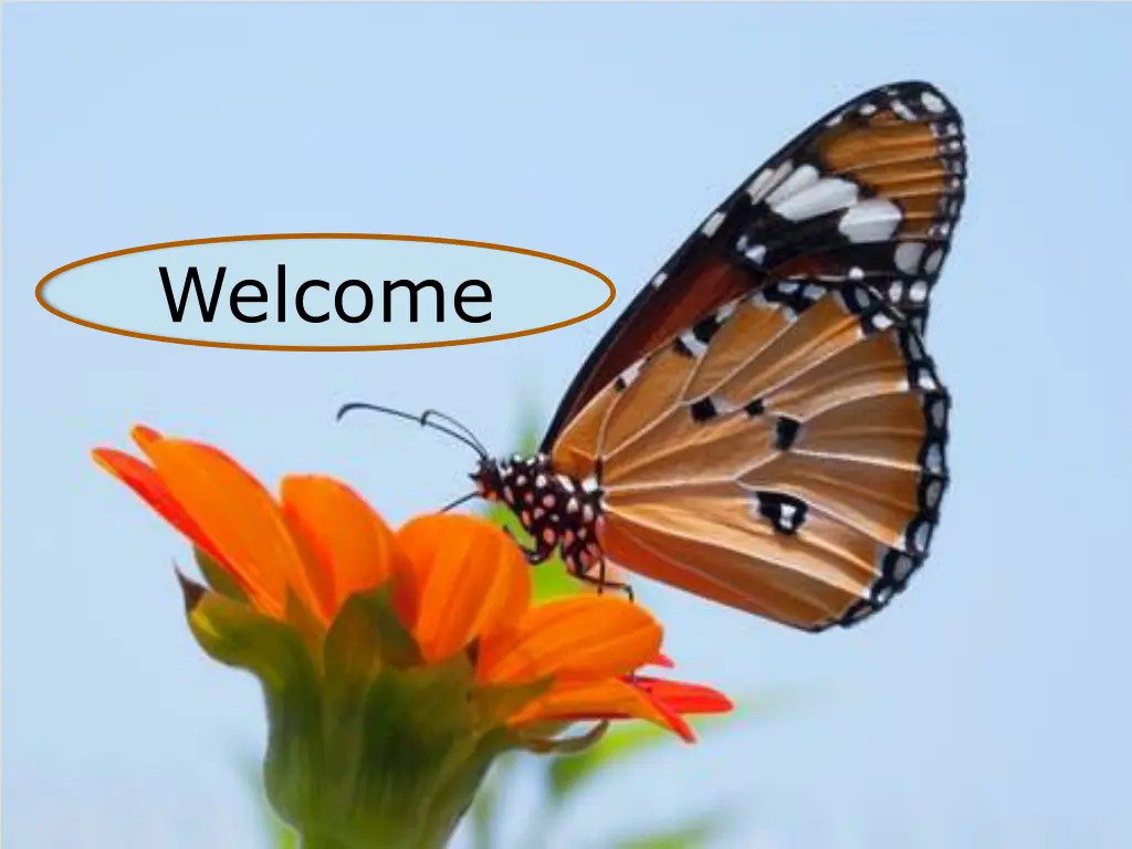 welcome n.w