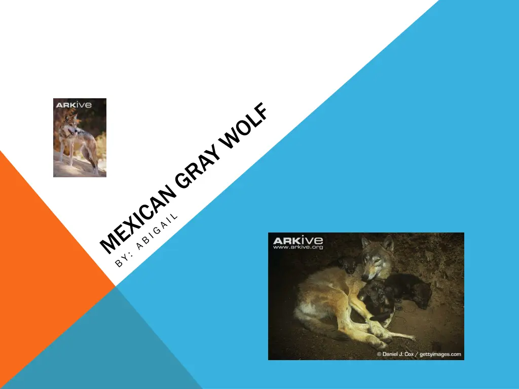 slide1 n.w