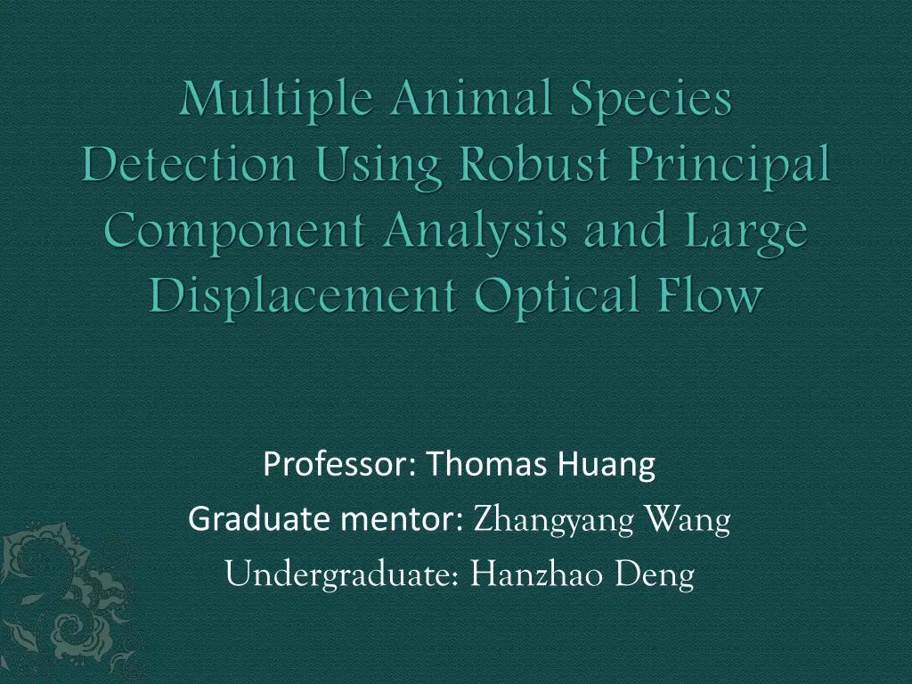 professor thomas huang graduate mentor zhangyang n.w