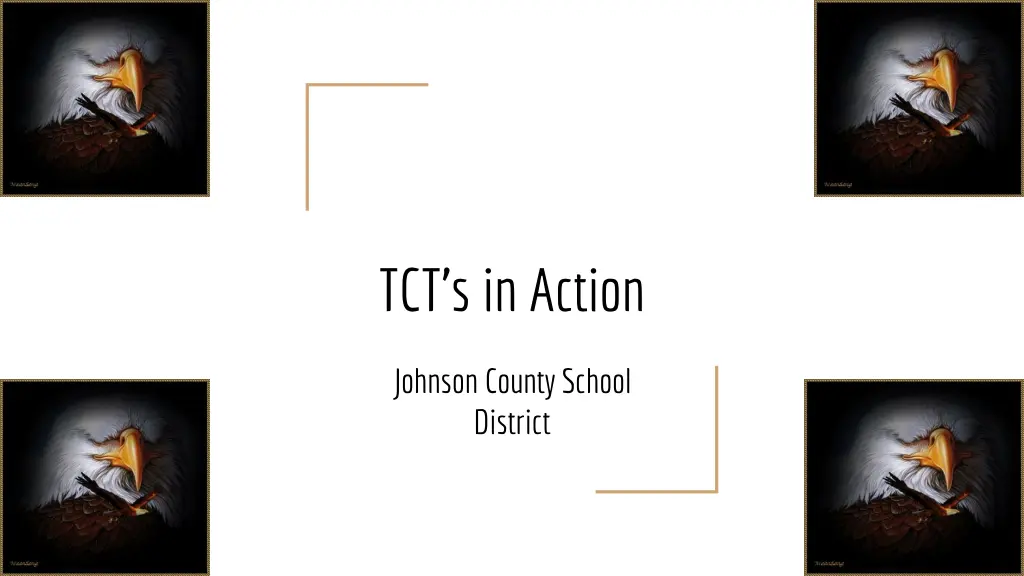 tct s in action n.w