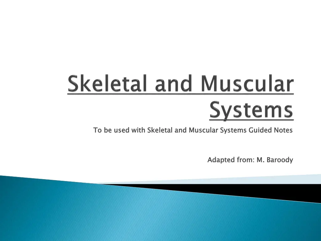 to be used with skeletal and muscular systems n.w