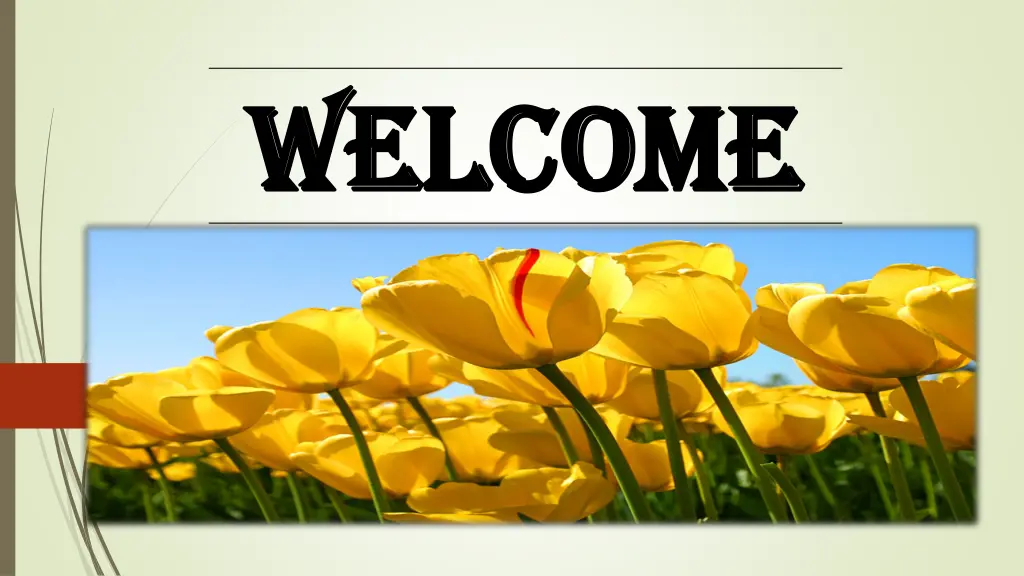 welcome welcome n.w
