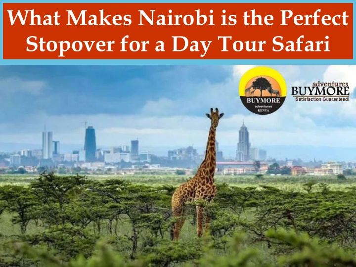What Makes Nairobi is the Perfect Stopover for a Day Tour Safari