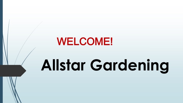 Best Lawn Care in Shoalwater