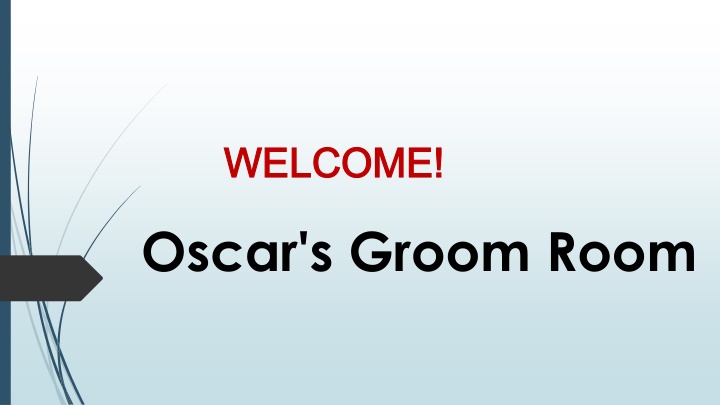 Best Pet Grooming in Hillside