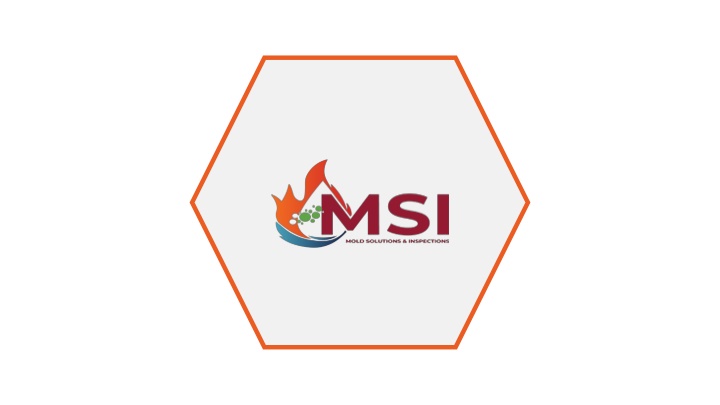 Professional Mold Remediation Services