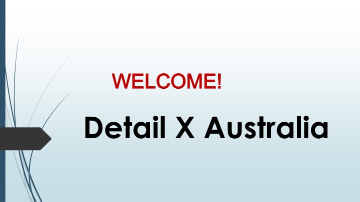Best Paint Correction in Noble Park North
